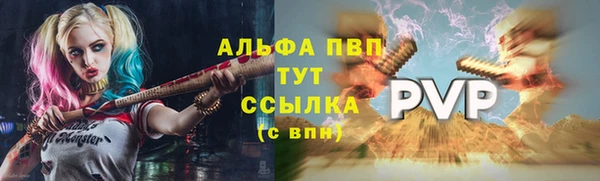 индика Беломорск