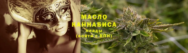индика Беломорск