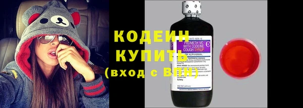 индика Беломорск