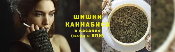 индика Беломорск