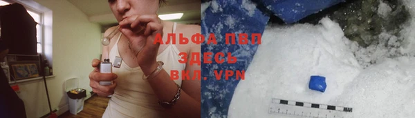 индика Беломорск