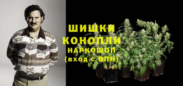 не бодяженный Белокуриха
