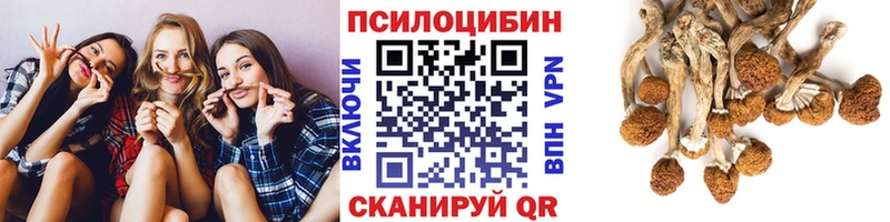Псилоцибиновые грибы ЛСД  Волгореченск 
